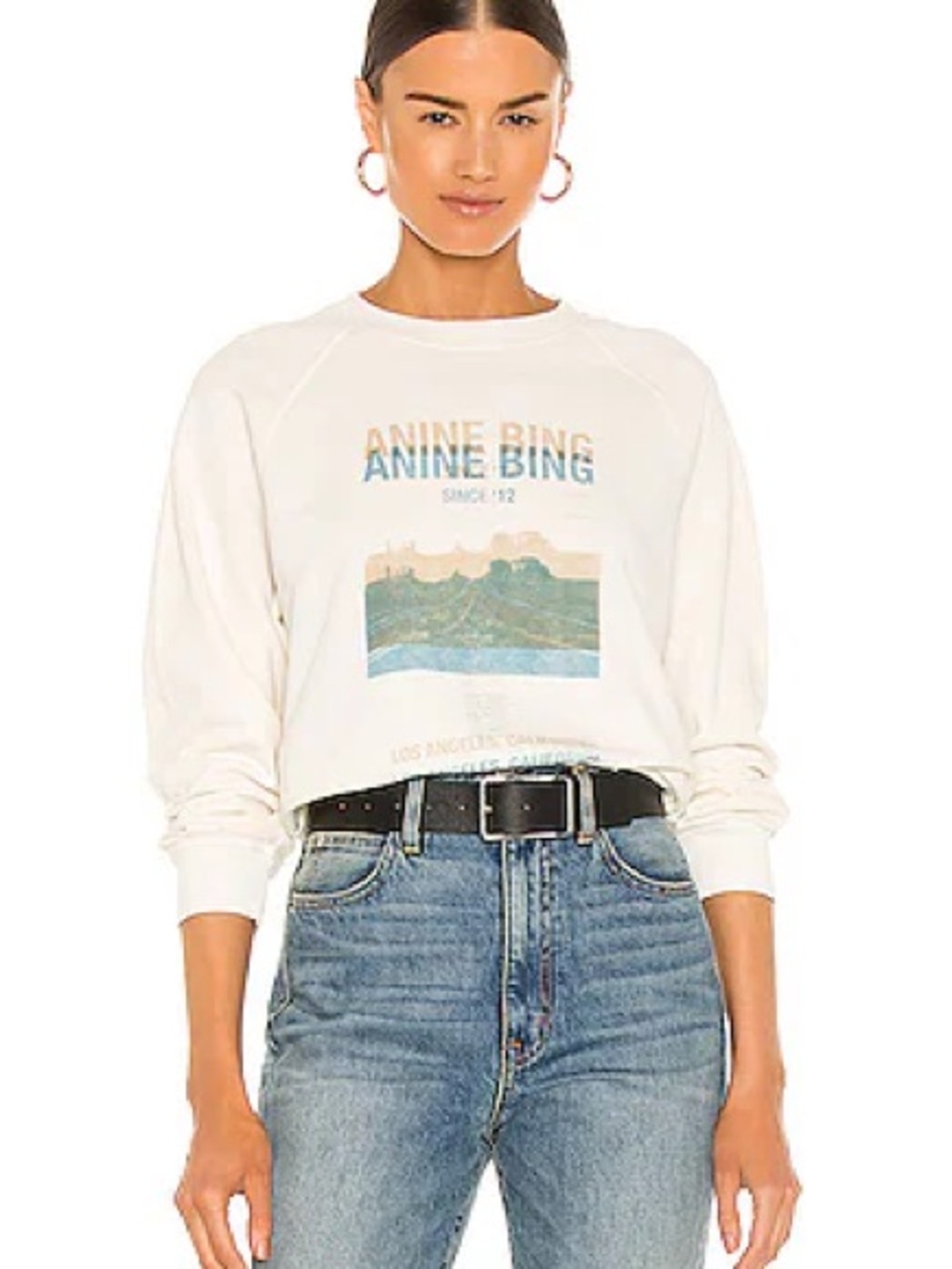 ANINE BING Arlo Desert Road Sweatshirt – Size S